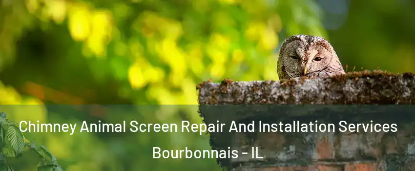 Chimney Animal Screen Repair And Installation Services Bourbonnais - IL