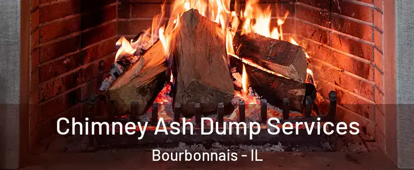  Chimney Ash Dump Services Bourbonnais - IL