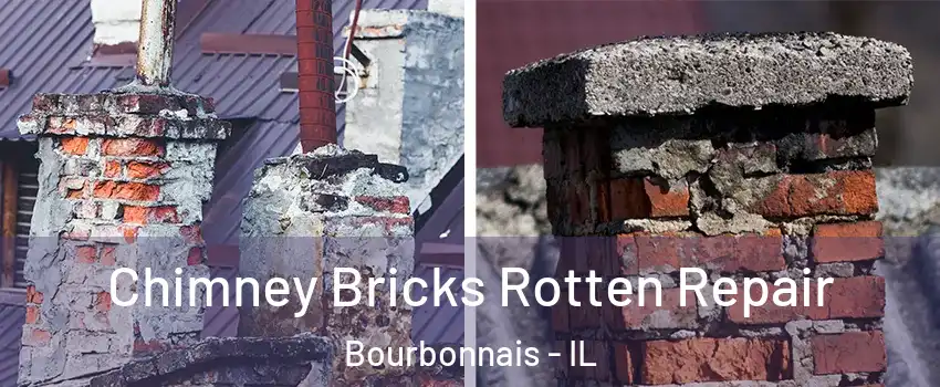  Chimney Bricks Rotten Repair Bourbonnais - IL