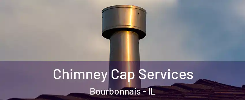  Chimney Cap Services Bourbonnais - IL