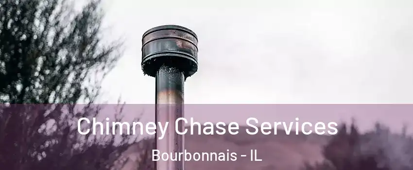  Chimney Chase Services Bourbonnais - IL