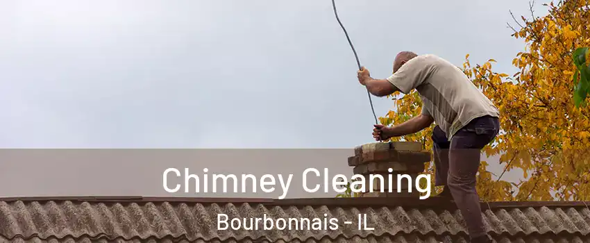  Chimney Cleaning Bourbonnais - IL