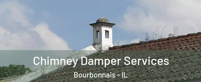 Chimney Damper Services Bourbonnais - IL
