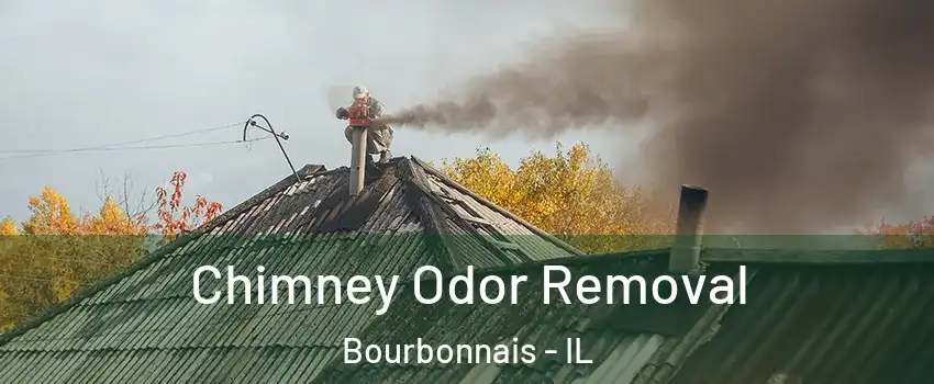  Chimney Odor Removal Bourbonnais - IL