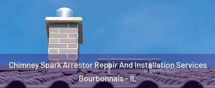  Chimney Spark Arrestor Repair And Installation Services Bourbonnais - IL