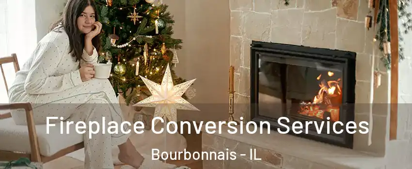  Fireplace Conversion Services Bourbonnais - IL