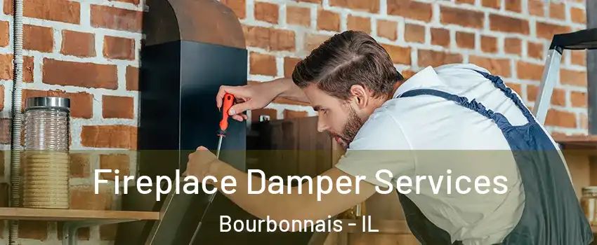  Fireplace Damper Services Bourbonnais - IL