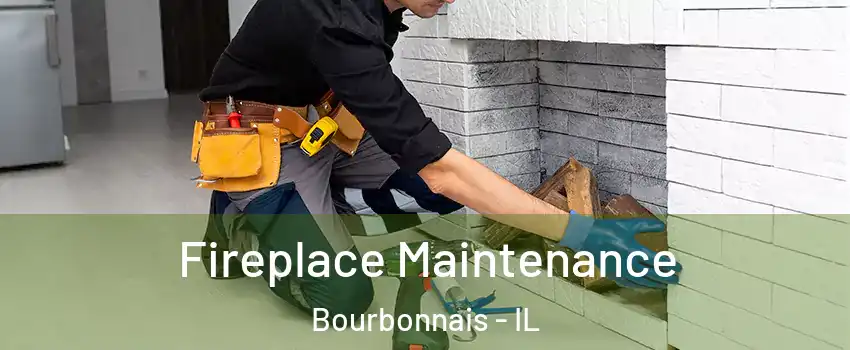  Fireplace Maintenance Bourbonnais - IL