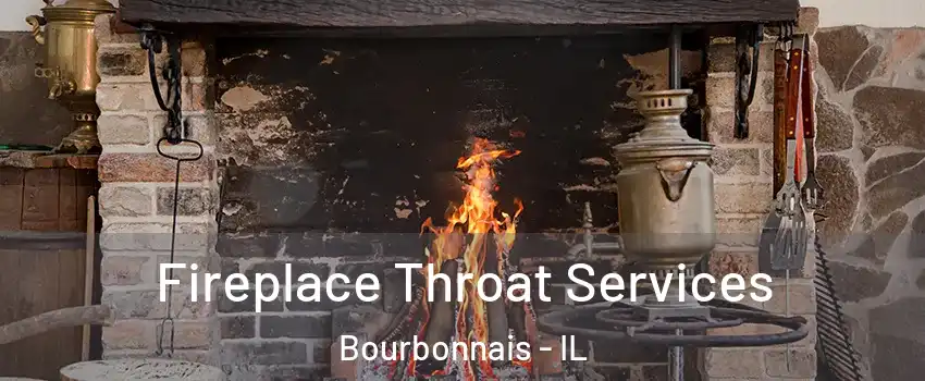  Fireplace Throat Services Bourbonnais - IL