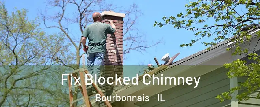  Fix Blocked Chimney Bourbonnais - IL