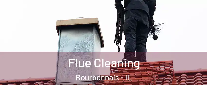  Flue Cleaning Bourbonnais - IL