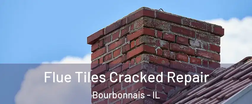  Flue Tiles Cracked Repair Bourbonnais - IL