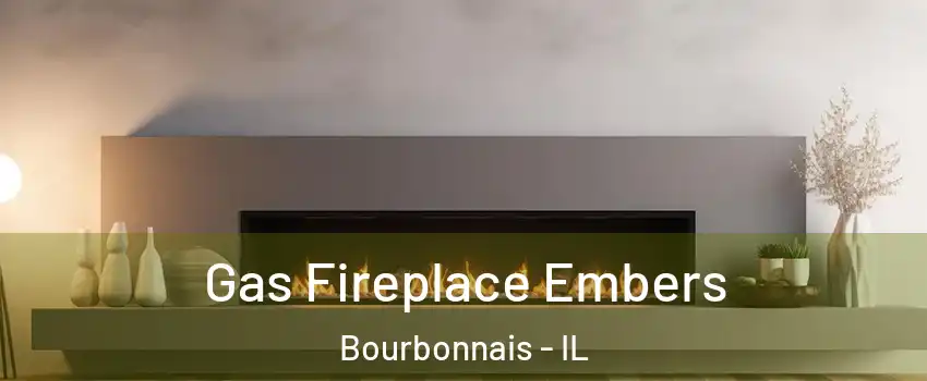  Gas Fireplace Embers Bourbonnais - IL