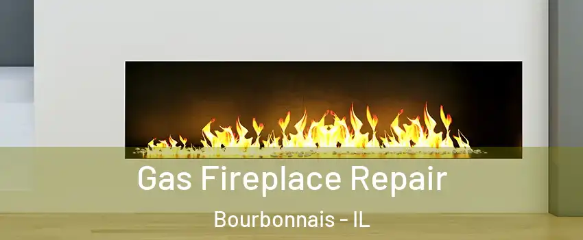  Gas Fireplace Repair Bourbonnais - IL