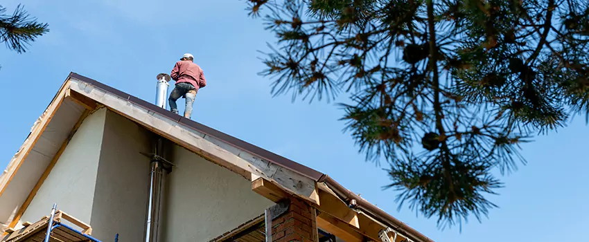 Birds Removal Contractors from Chimney in Bourbonnais, IL