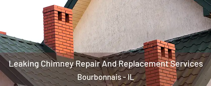  Leaking Chimney Repair And Replacement Services Bourbonnais - IL