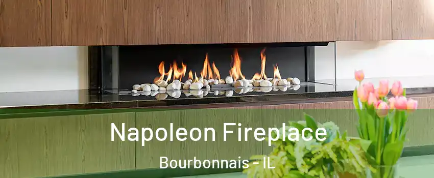  Napoleon Fireplace Bourbonnais - IL