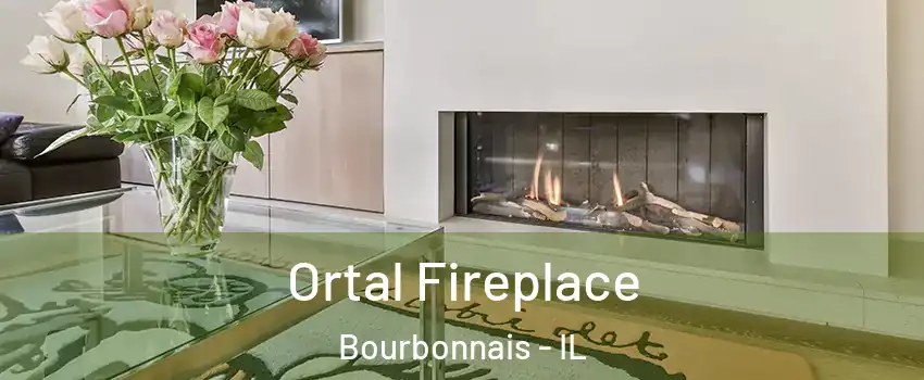  Ortal Fireplace Bourbonnais - IL